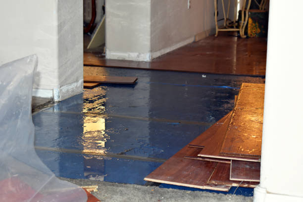 Professional Sewage Cleanup technician working in Harcourt, IA
